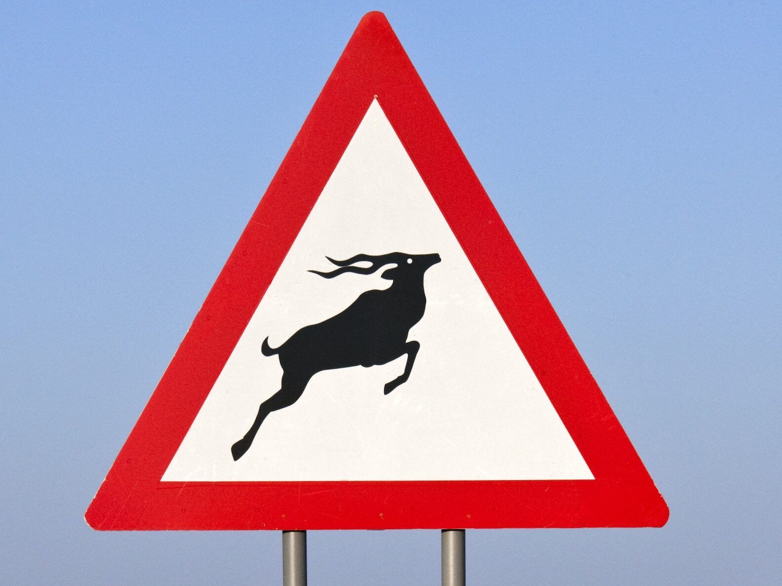 Antelopes - Road Sign | 5. Understanding Symbols on Road Signs